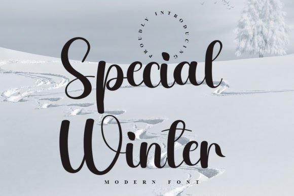 Special Winter Font Review
