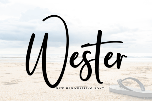 Wester: A Modern Font for Creative Web Design